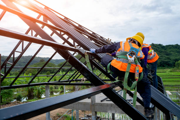 Best Roof Gutter Cleaning  in Waycross, GA