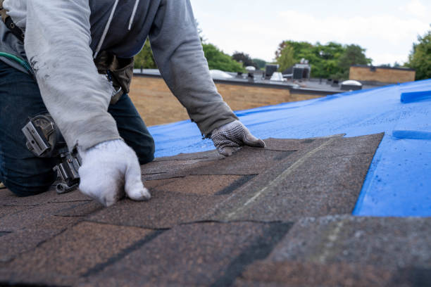 Best Residential Roofing Contractor  in Waycross, GA