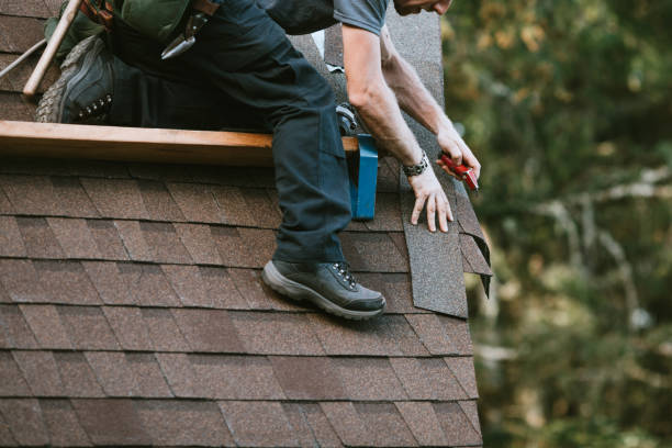 Best Metal Roofing Contractor  in Waycross, GA